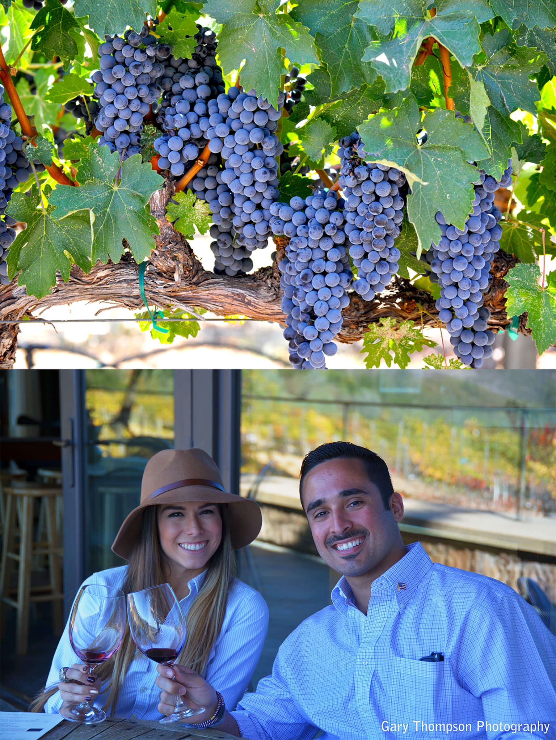 A-Day-of-cabernet dds-image2