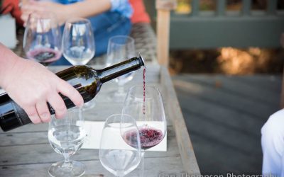 The art of tasting wine in 10 steps