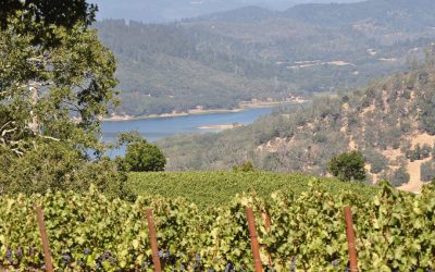 Napa Valley – The Big Picture
